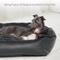 Show in main carousel: RYPetmia PU Leather Dog & Cat Sofa Bed, Black, 26-in slide 5 of 9