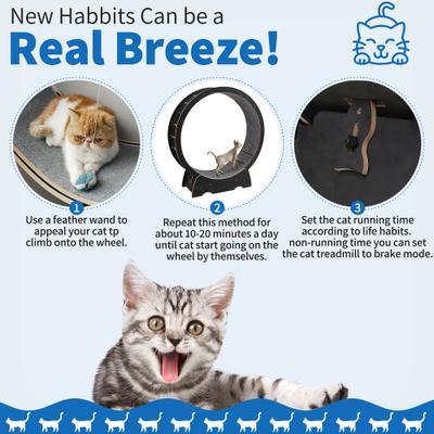 Show full view: RYPetmia Running Wheel Cat Treadmill with Catnip, Large: 45-in, Black slide 2 of 10