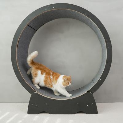 Show full view: RYPetmia Running Wheel Cat Treadmill with Catnip, Large: 45-in, Black slide 9 of 10