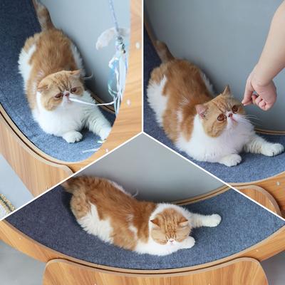 Show full view: RYPetmia Running Wheel Cat Treadmill with Catnip, Large: 45-in, Brown slide 2 of 10