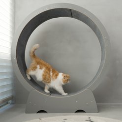 RYPetmia Running Wheel Cat Treadmill with Catnip, Large: 45-in, ‎Gray