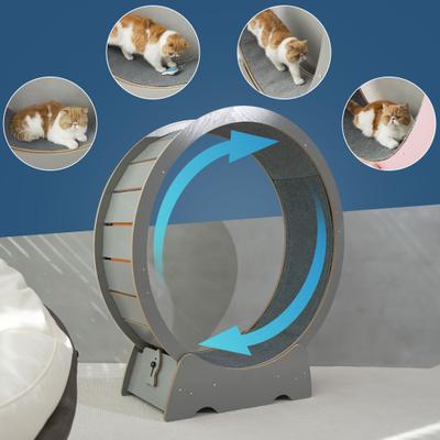 Show full view: RYPetmia Running Wheel Cat Treadmill with Catnip, Large: 45-in, ‎Gray slide 7 of 10