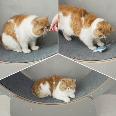 Show full view: RYPetmia Running Wheel Cat Treadmill with Catnip, Large: 45-in, ‎Gray slide 8 of 10