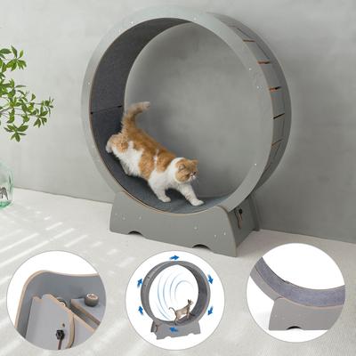 Show full view: RYPetmia Running Wheel Cat Treadmill with Catnip, Large: 45-in, ‎Gray slide 5 of 10