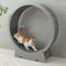 Show in main carousel: RYPetmia Running Wheel Cat Treadmill with Catnip, Large: 45-in, ‎Gray slide 9 of 10