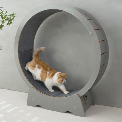 Show full view: RYPetmia Running Wheel Cat Treadmill with Catnip, Large: 45-in, ‎Gray slide 9 of 10