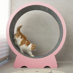 RYPetmia Running Wheel Cat Treadmill with Catnip, Large: 45-in, Pink