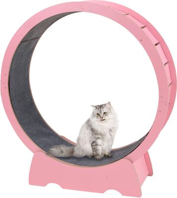 Show full view: RYPetmia Running Wheel Cat Treadmill with Catnip, Large: 45-in, Pink slide 3 of 11