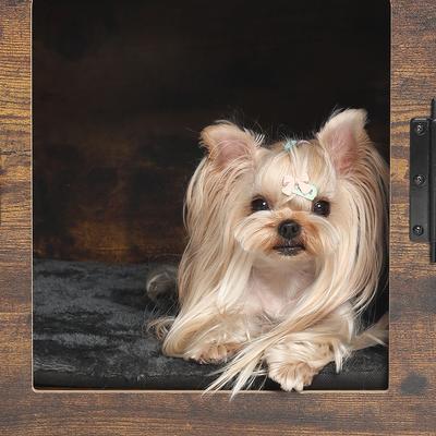 Show full view: RYPetmia Wooden Indoor & Outdoor Dog House, Small/Medium, Brown slide 6 of 12