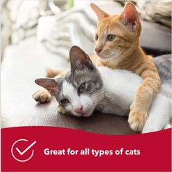 Safari Bamboo Bristle Cat Brush slide 2 of 4