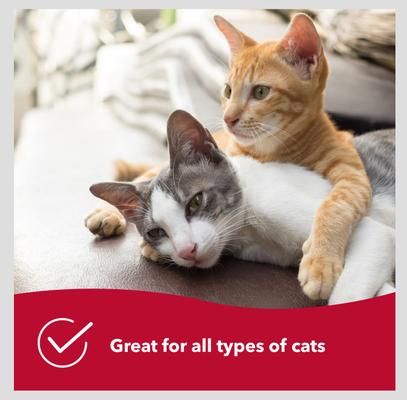 Show full view: Safari Bamboo Bristle Cat Brush slide 2 of 5