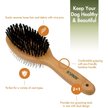 Evolution Pin & Bristle Combo Dog Brush