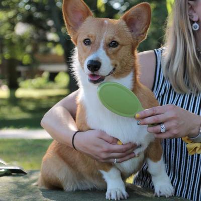 Show full view: Safari Bristle Dog Brush, Medium-Large slide 3 of 7