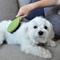 Show in main carousel: Safari Bristle Dog Brush, Medium-Large slide 5 of 7