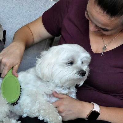 Show full view: Safari Bristle Dog Brush, Medium-Large slide 6 of 7