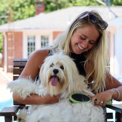 Show full view: Safari Combo Brush for Dogs, Large slide 7 of 9