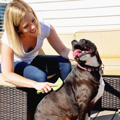 Show full view: Safari Curved Firm Slicker Dog Brush, Medium slide 3 of 7