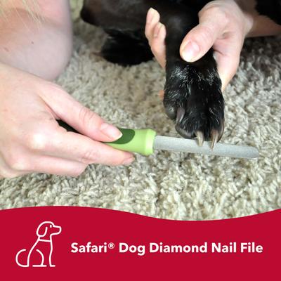 Show full view: Safari Diamond Dog Nail File slide 3 of 9