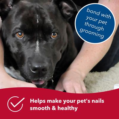 Show full view: Safari Diamond Dog Nail File slide 6 of 9