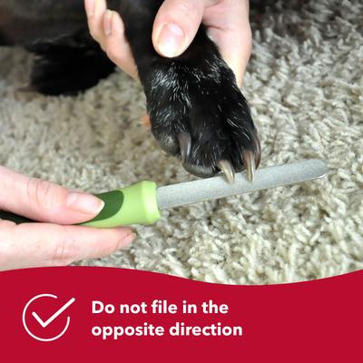 Show full view: Safari Diamond Dog Nail File slide 7 of 9