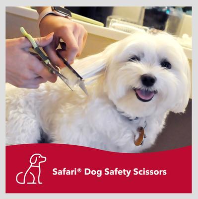 Show full view: Safari Dog Safety Scissors slide 3 of 9