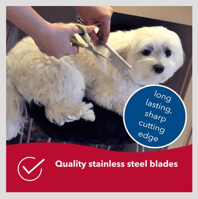 Show full view: Safari Dog Safety Scissors slide 6 of 9