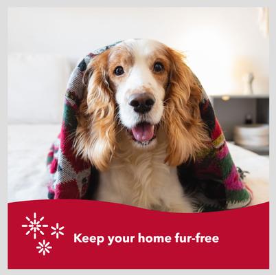 Show full view: Safari Double Row Rotating Pins Undercoat Rake Dog Grooming Tool slide 3 of 5