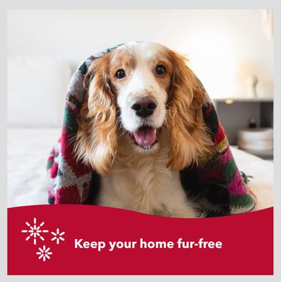 Show full view: Safari Double Row Undercoat Rake Dog Grooming Tool, Small slide 6 of 8