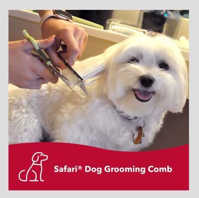 Show full view: Safari Fine Comb for Dogs slide 3 of 9