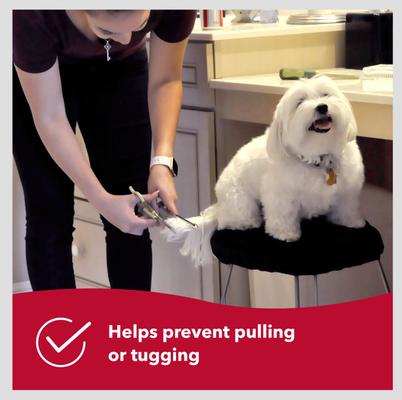 Show full view: Safari Fine Comb for Dogs slide 6 of 9