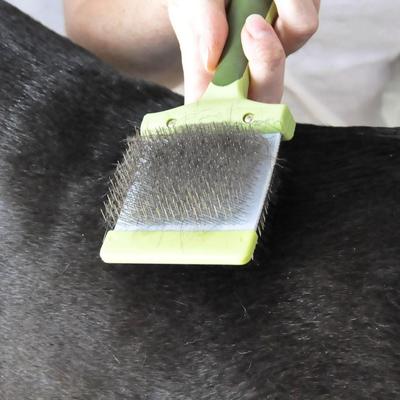 Show full view: Safari Flexible Slicker Dog Brush, Medium slide 4 of 6