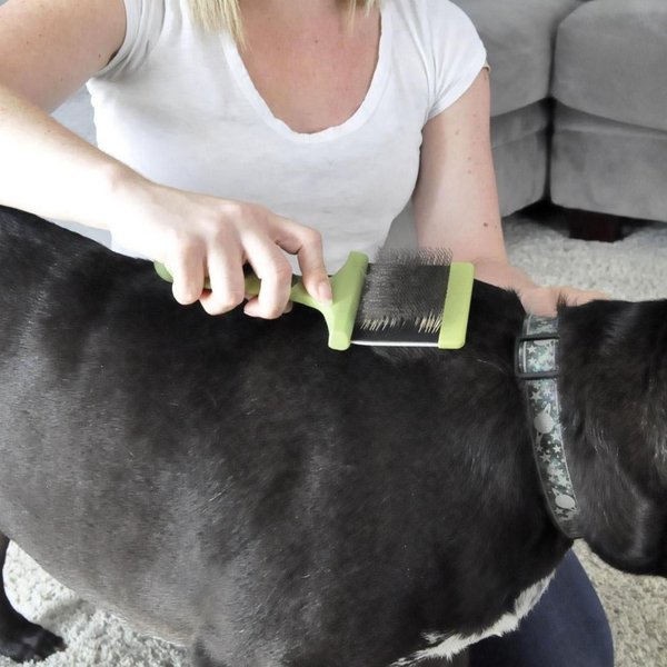 Show full view: Safari Flexible Slicker Dog Brush, Medium slide 5 of 6