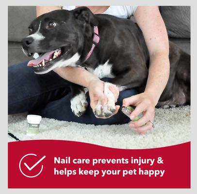 Show full view: Safari Guillotine Nail Trimmer for Dogs, Small slide 8 of 12