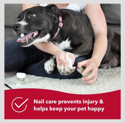 Show full view: Safari Guillotine Nail Trimmer for Dogs slide 7 of 11