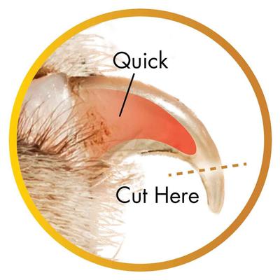 Show full view: Safari Guillotine Nail Trimmer for Dogs slide 8 of 11