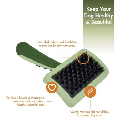 Show full view: Safari Massage Dog Brush slide 2 of 5