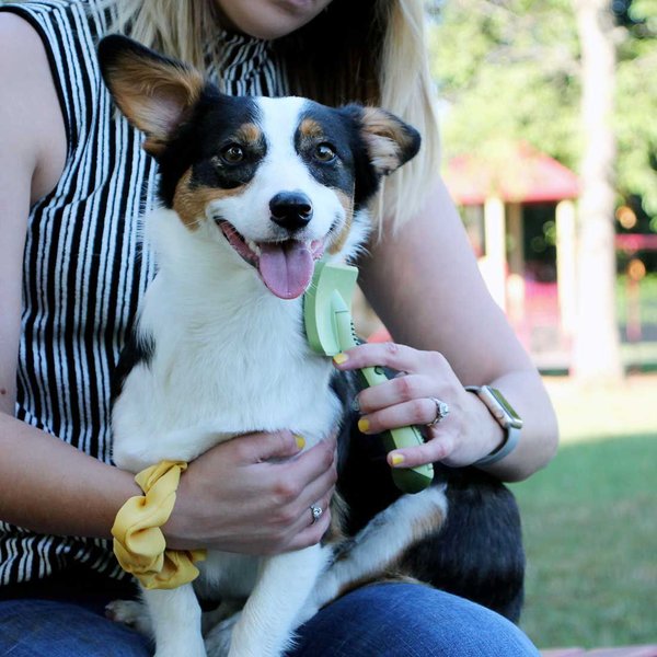 Safari Massage Dog Brush