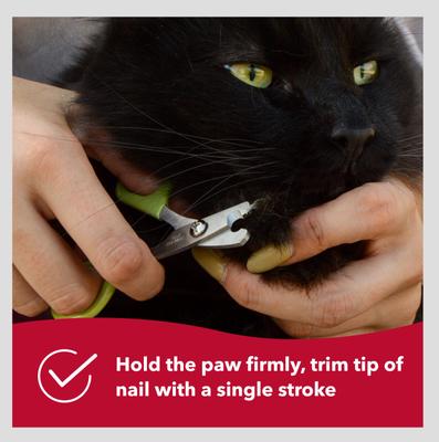 Show full view: Safari Nail Trimmer for Cats slide 6 of 8