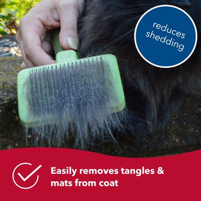 Show full view: Safari Self-Cleaning Slicker Brush for Cats slide 3 of 9