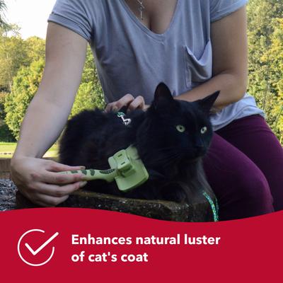 Show full view: Safari Self-Cleaning Slicker Brush for Cats slide 5 of 9