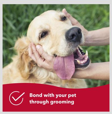 Show full view: Safari Self-Cleaning Slicker Brush for Dogs, Large slide 7 of 10