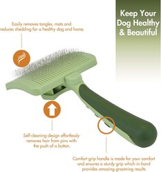 Safari Self-Cleaning Slicker Brush for Dogs, Medium slide 2 of 8