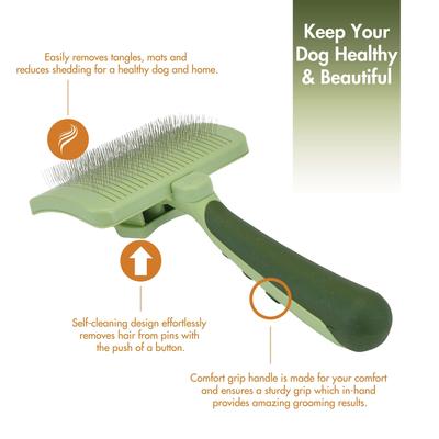 Show full view: Safari Self-Cleaning Slicker Brush for Dogs, Medium slide 3 of 11
