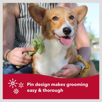 Show full view: Safari Self-Cleaning Slicker Brush for Dogs, Medium slide 7 of 11