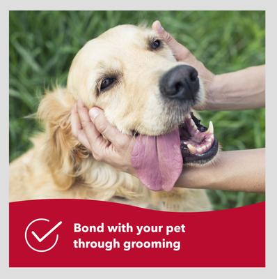 Show full view: Safari Self-Cleaning Slicker Brush for Dogs, Medium slide 8 of 11