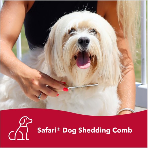 Safari Shedding Comb for Long-haired Dogs