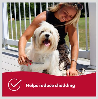 Show full view: Safari Shedding Comb for Long-haired Dogs slide 5 of 9