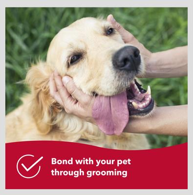 Show full view: Safari Shedding Comb for Long-haired Dogs slide 6 of 9