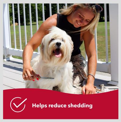 Show full view: Safari Short Hair Shedding Dog Comb slide 6 of 8