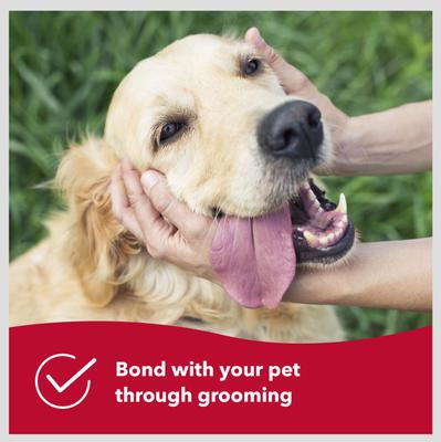 Show full view: Safari Short Hair Shedding Dog Comb slide 7 of 8